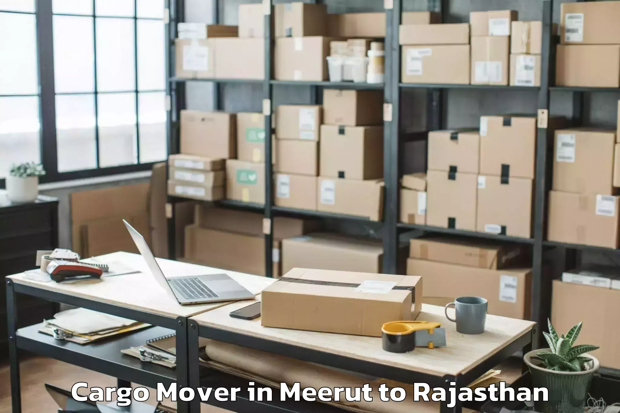 Leading Meerut to Lakheri Cargo Mover Provider